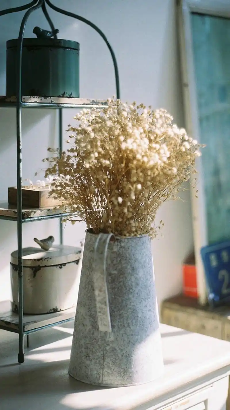 文艺清新居家静物高清图片手机壁纸