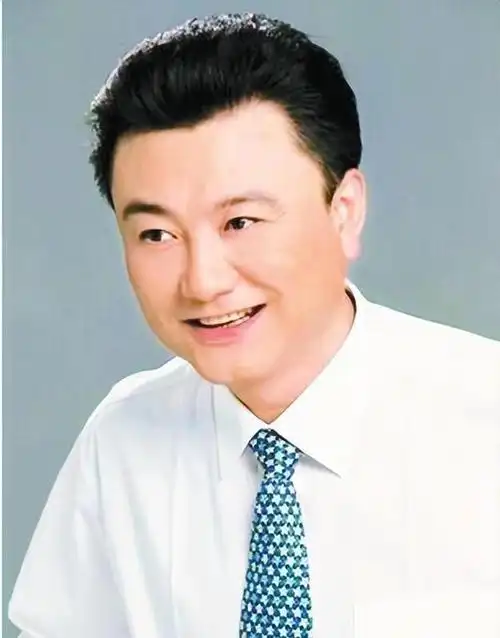 网友:王宁,才是目前央视一姐!_网易订阅