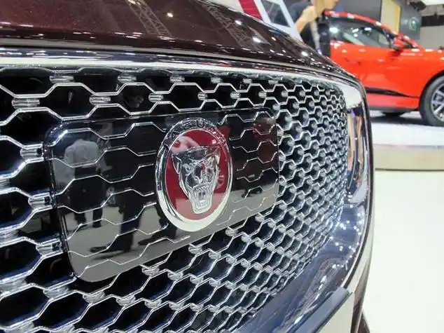 车标是豹子头的是什么车