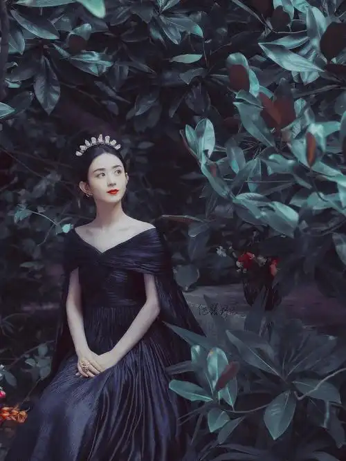 赵丽颖黑色礼服合集