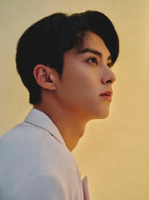 秦霄贤侧脸相似度#王鹤棣秦霄贤侧脸的相似度也太高了吧,高鼻梁高眉骨