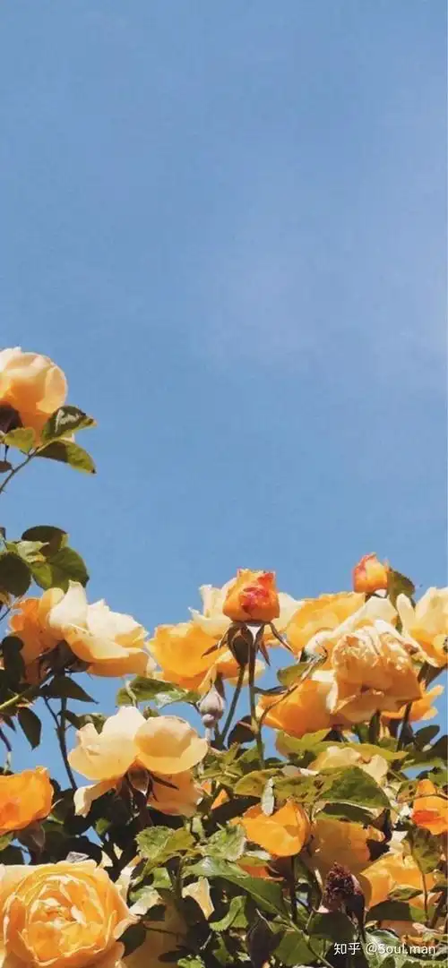 有哪些超级好看的全面屏壁纸高清