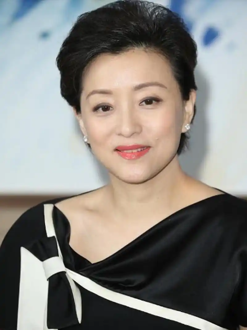 杨澜作为央视的著名主持人,作为现代女性,杨澜也是优雅女神的代表人物