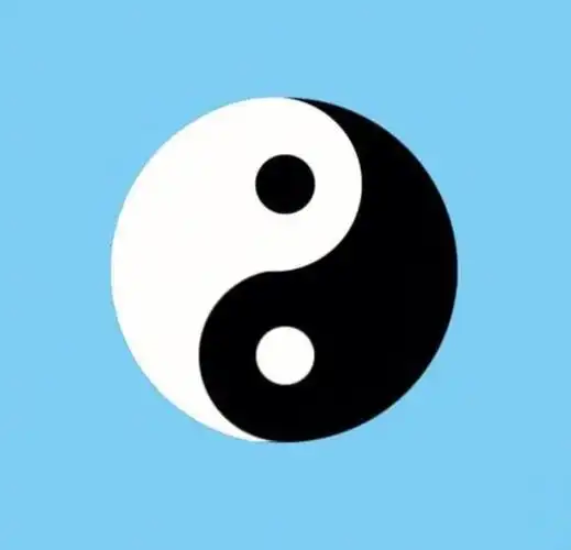 哪个太极图才是正确的呢