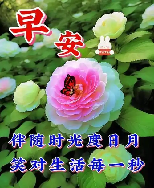 6月12日周一早上好最新早上好漂亮图片祝福