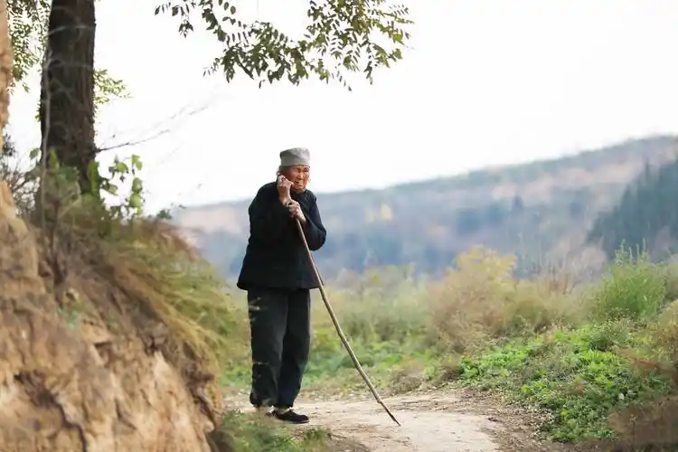 独居大山深处的90岁老人 她一个人的生活让人心生敬意