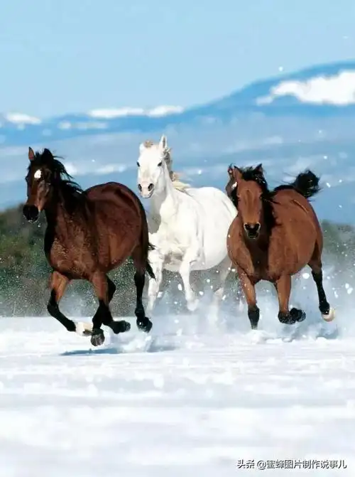 壁纸美图,祝您2022年马到成功