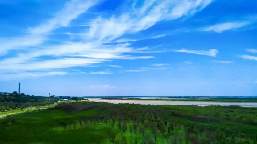 黄河滩上,蓝天白云,绿荫幽幽