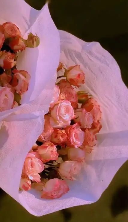 超级可爱的高清的手机唯美壁纸2022抖音超级火的手机壁纸