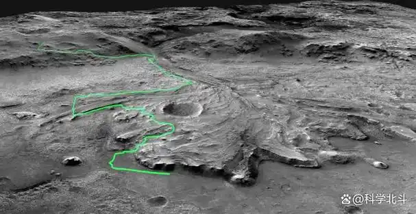 2008年nasa拍摄的火星照片其地表竟长出了树难道火星存在生命