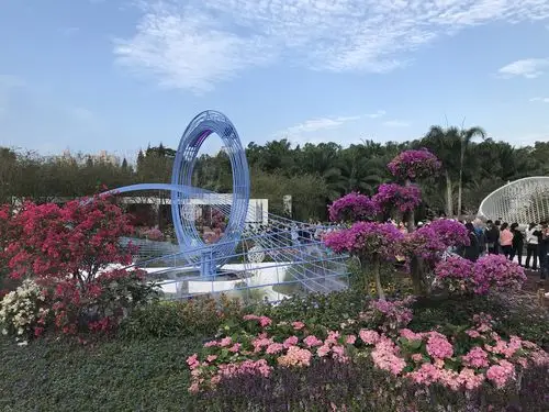 2020深圳莲花山公园簕杜鹃花展