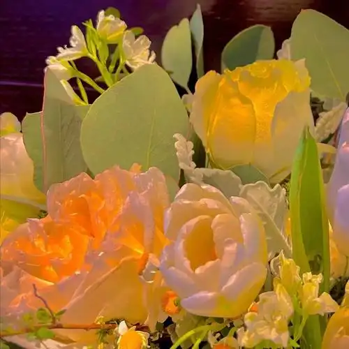 橙色背景图ins高级抱图吱一声