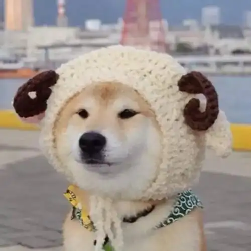 qq头像可爱大全:qq上各种可爱的头像(54)