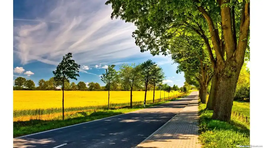 请问你们有高清的桌面壁纸分享一下吗