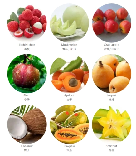 儿童启蒙英语水果名称大全,家长分享!