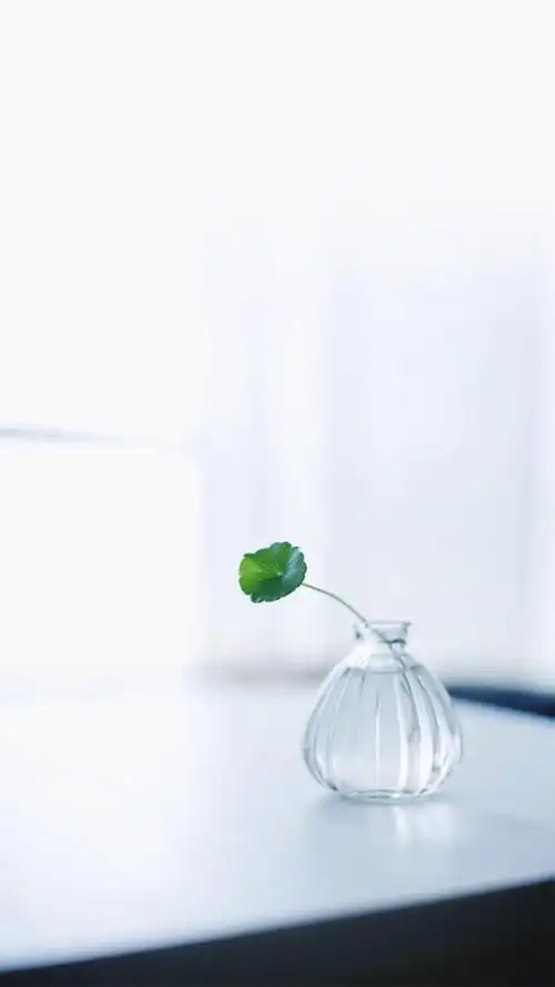 风格,唯美,简约,植物,绿色,小清新,手机壁纸,1080x1920