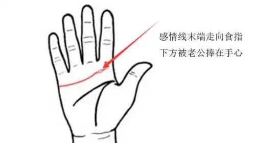 左手掌感情线有痣(左手掌感情线有痣的男人)