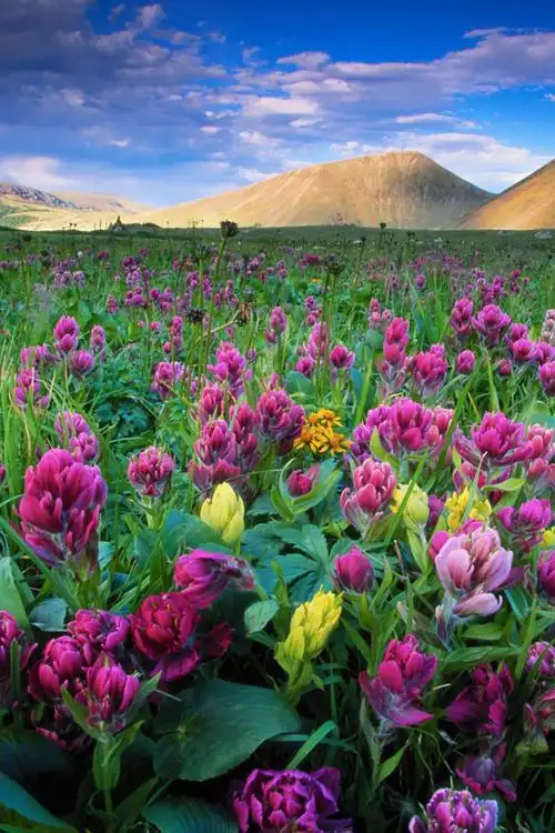 自然美景宽屏山水唯美图片手机壁纸第一辑