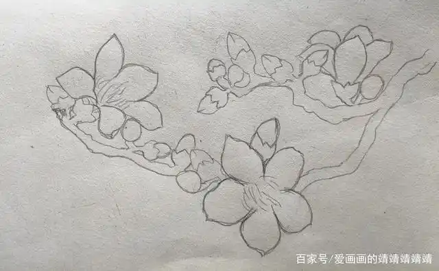 这个春天一起来画画吧,木棉花详细过程图来啦~快来看看吧