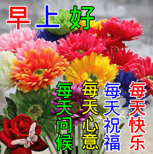 原创7张秋日最新特漂亮早上好鲜花图片带祝福语2021最美早安问候动态