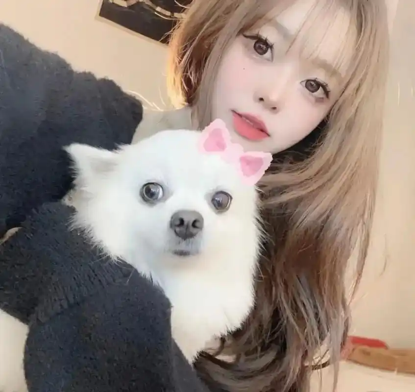 哥哥喜欢猫嘛做你的小野猫好不好