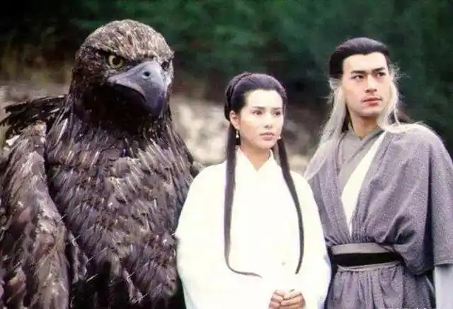 杨过雕兄原来有现实版,这老鹰叼人很轻松,幸亏它的地盘没有人