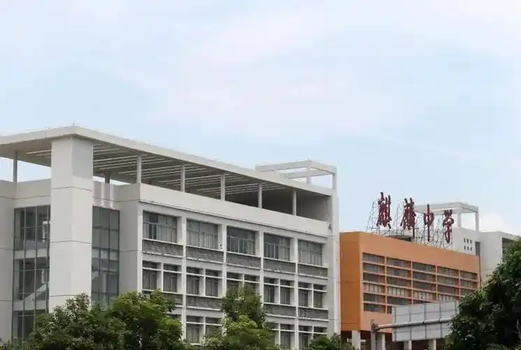 广州市南沙区麒麟中学广州市南沙东涌中学华南师范大学附属南沙中学