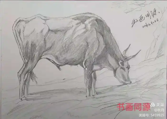 秋月画友《辛丑迎春百牛图》