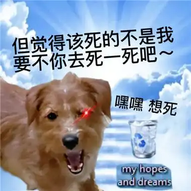 一定要存图的狗狗发疯表情 全网都很火的发疯狗狗表情合集_1