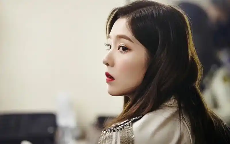 【裴珠泫】演唱会的神图太多了