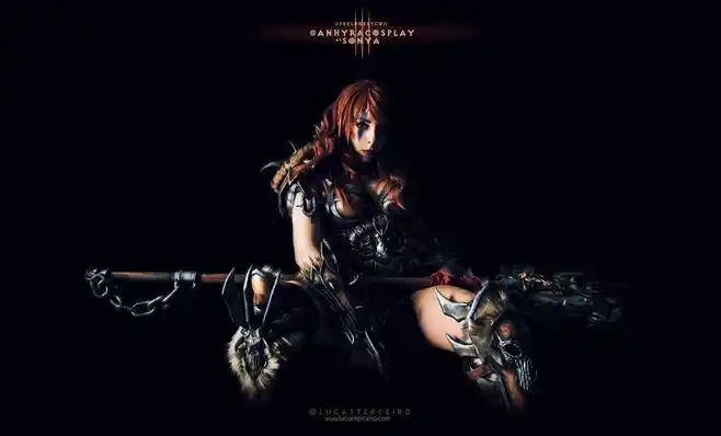 暗黑破坏神的照片 - 微相册