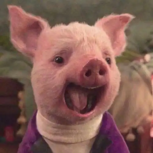 搞笑女头像图片沙雕狗有手 - 霸气欧美头像!