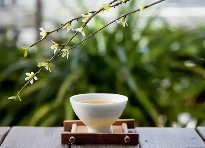 品茶的心境品人生句子说说