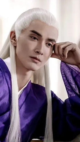 三生三世枕上书电视剧 东华 高伟光