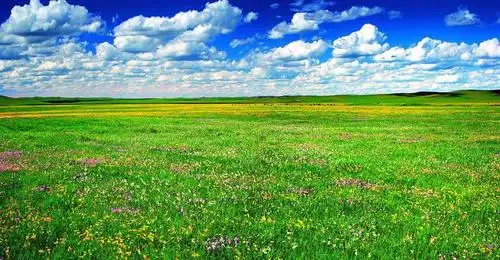 国内草原圣境盘点 开启酷暑时节最爽草原游