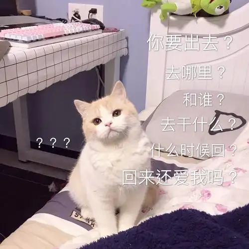 猫咪表情包 猫:我的眼里都是你! 喜欢点赞收藏拿原图哦