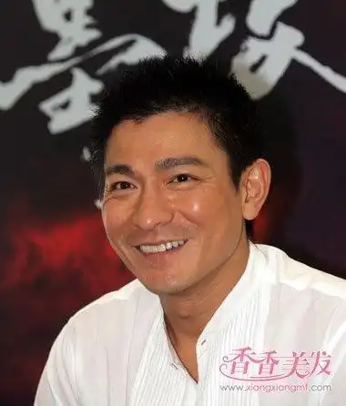 刘德华短发毛寸发型 2017最流行短发型图片(3)