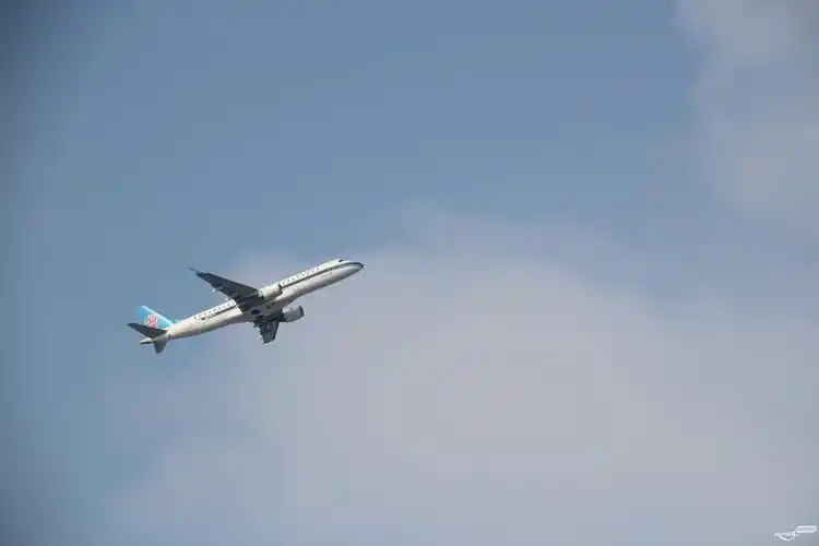 在剑英湖,看到起飞的飞机从上空飞过一景拍