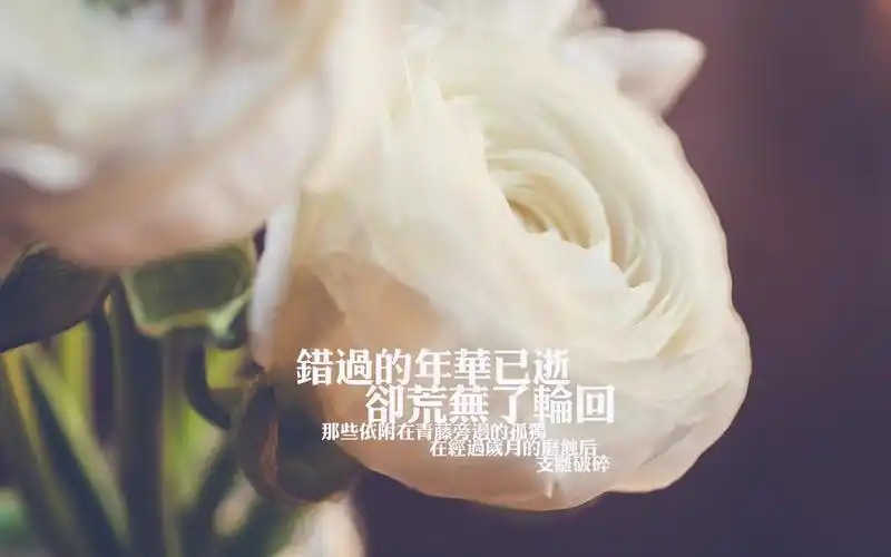 qq空间伤感文字背景图