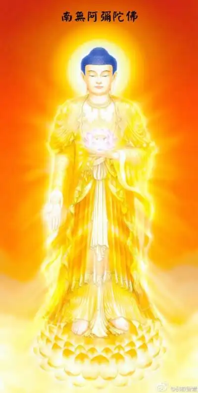 南无哦弥陀佛 - 堆糖,美图壁纸兴趣社区