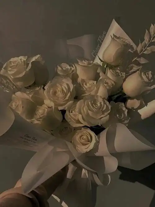 玫瑰  #鲜花分享