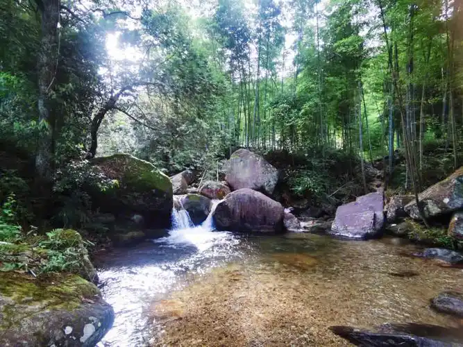 坐标江西宜春南惹