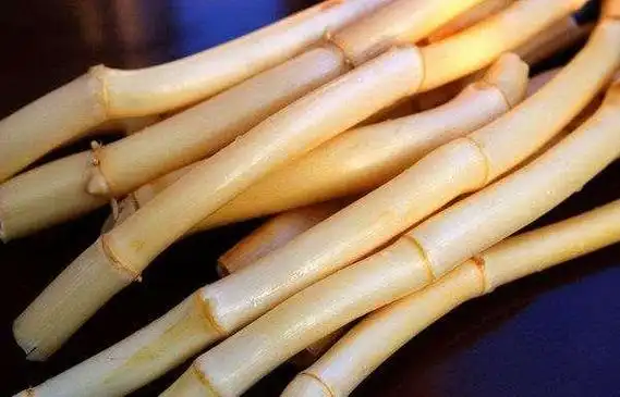 鲜芦根 鲜芦根的功效与作用