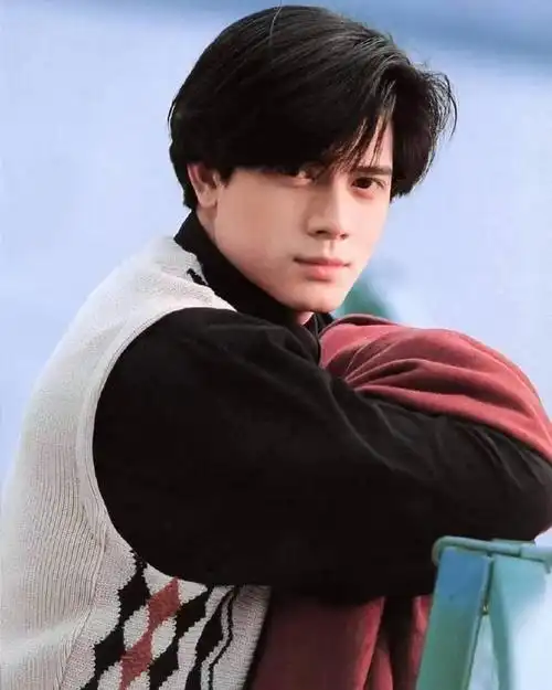 香港娱乐圈的十大最帅男明星排行榜,吴彦祖排第十,刘德华排第三