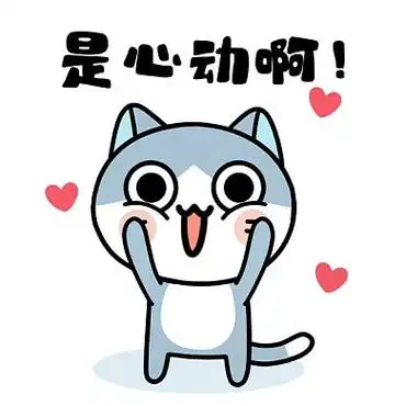 是心动啊可爱猫咪卡通插画gif表情包