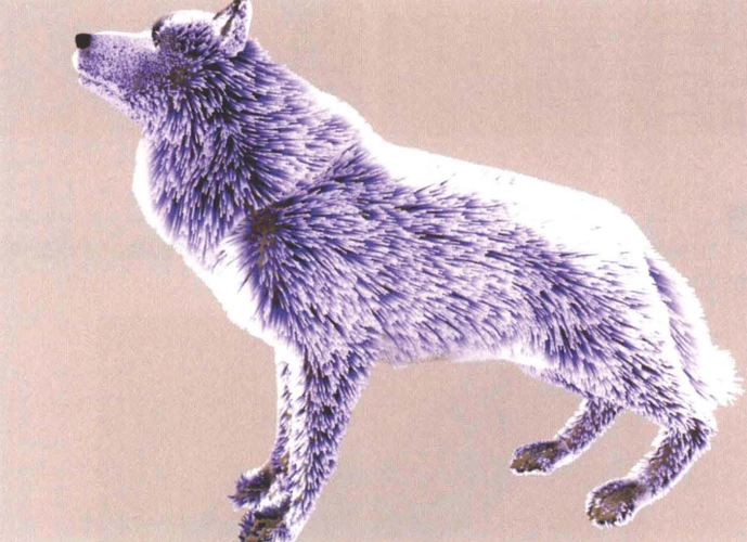 如何制作狼的毛发效果二之利用贴图控制毛发