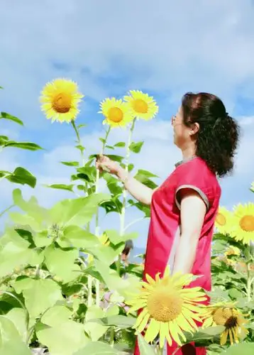 让生活充满阳光