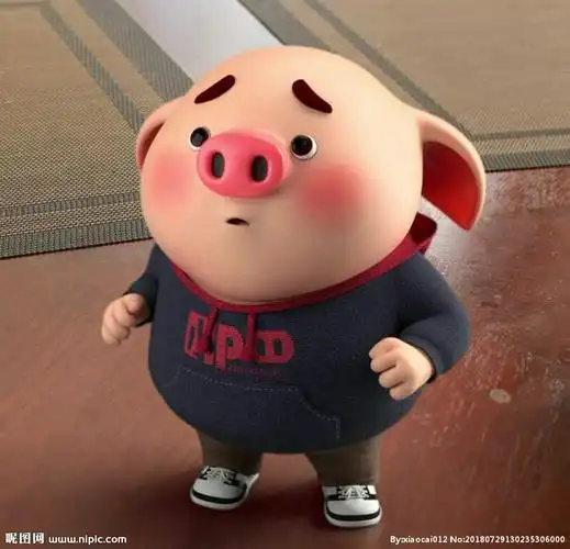 看这只抖音猪多可爱呀!