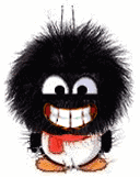 企鹅坏笑-微表情网