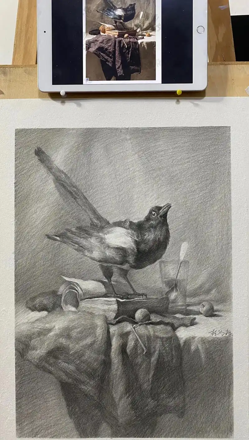 呐,这是小鸟的步骤图#画画 #美术生 #素描 - 抖音